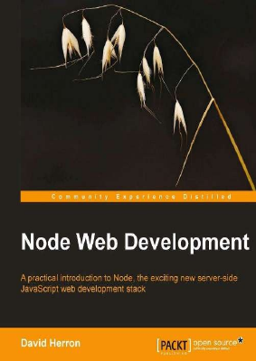 Node Web Development.pdf